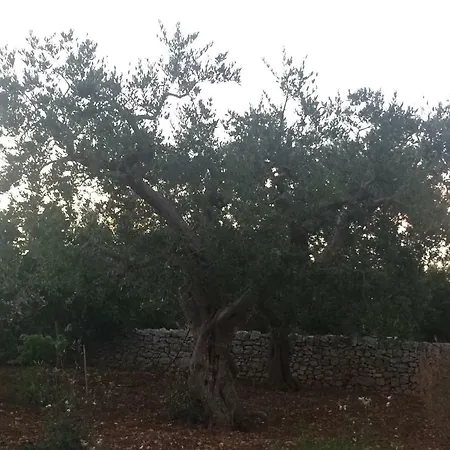 Tralci בית כפרי *